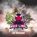 Sementes de Cannabis Mixes Red Line Automix | BSF Seeds Brasil | Compre Agora