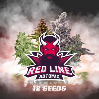 Sementes de Cannabis Mixes Red Line Automix | BSF Seeds Brasil | Compre Agora