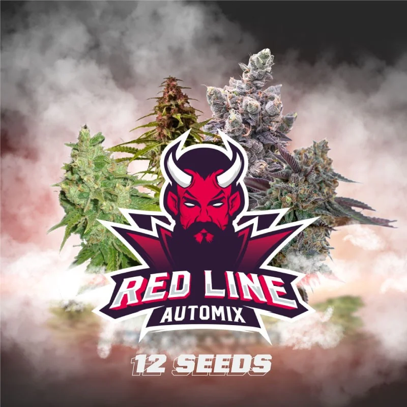 Sementes de Cannabis Mixes Red Line Automix | BSF Seeds Brasil | Compre Agora
