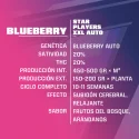 Sementes de Cannabis Automáticas Blueberry XXL Auto | BSF Seeds Brasil | Compre Agora