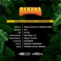 Sementes de Maconha Feminizadas Gorilla Banana Feminized | BSF Seeds Brasil
