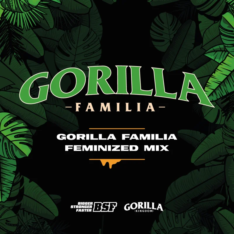 Sementes de Cannabis Mixes Gorilla Familia Feminized Mix | BSF Seeds Brasil | Compre Agora