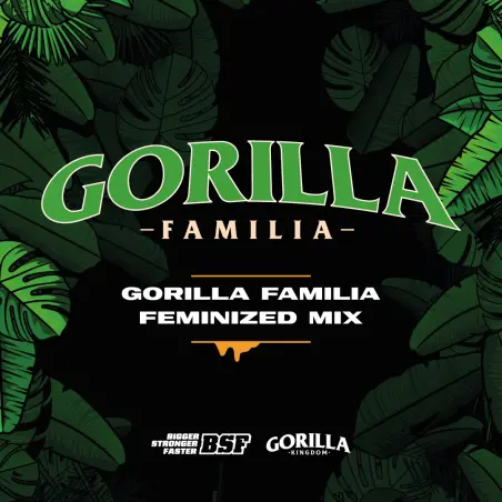 Gorilla Familia Feminized Mix|BSF Seeds Brasil