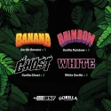 Sementes de Cannabis Mixes Gorilla Familia Feminized Mix | BSF Seeds Brasil | Compre Agora