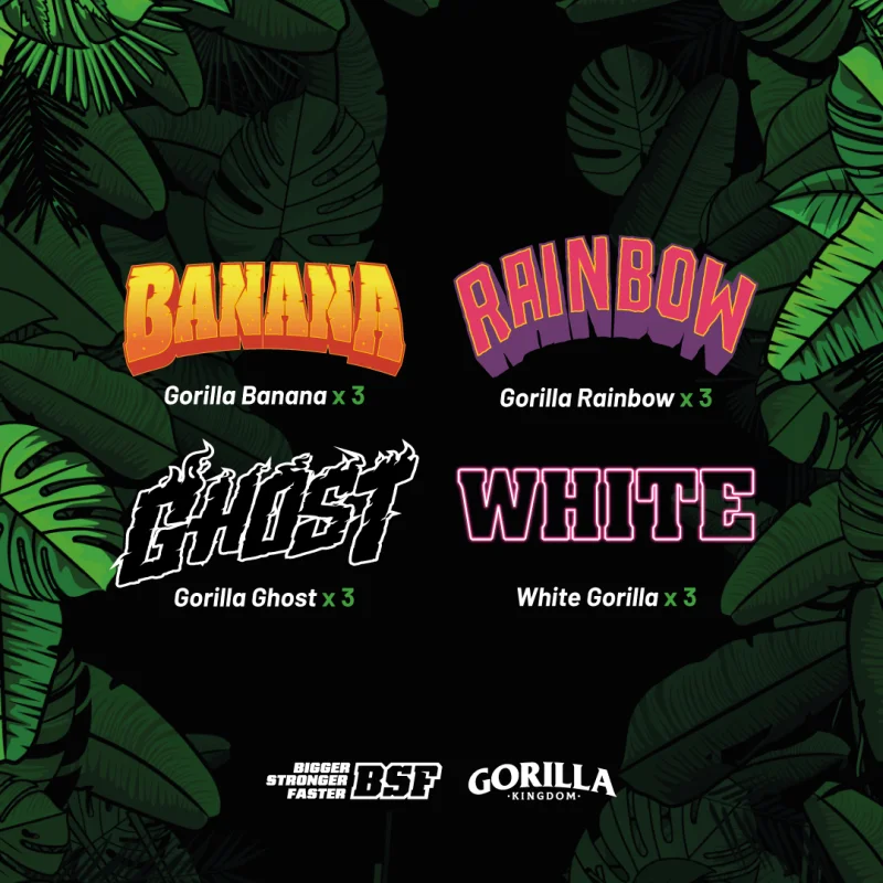 Sementes de Cannabis Mixes Gorilla Familia Feminized Mix | BSF Seeds Brasil | Compre Agora