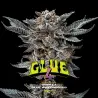 Gorilla Glue 4 Feminized|BSF Seeds Brasil