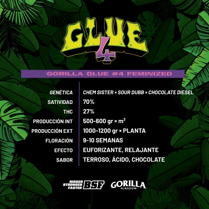 Sementes de Maconha Feminizadas Gorilla Glue 4 Feminized | BSF Seeds Brasil