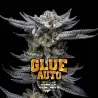 Gorilla Glue Auto|BSF Seeds Brasil