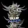 Gorilla Glue Faster|BSF Seeds Brasil