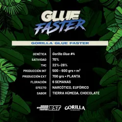 Gorilla Glue Faster|BSF Seeds Brasil