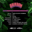 Sementes de Maconha Feminizadas Gorilla Rainbow Feminized | BSF Seeds Brasil