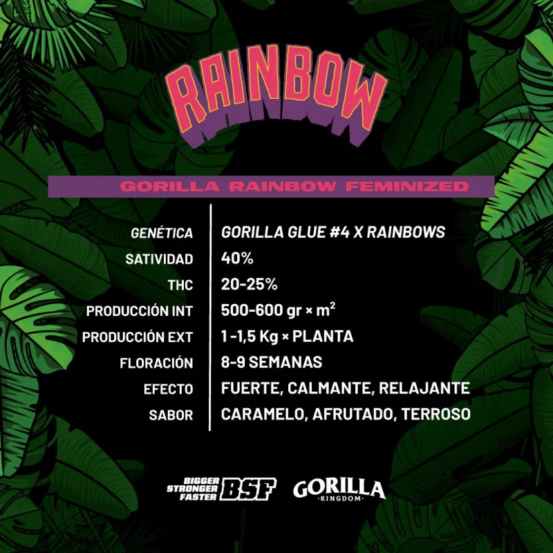 Sementes de Maconha Feminizadas Gorilla Rainbow Feminized | BSF Seeds Brasil