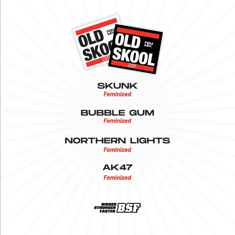 Old Skool Feminized Mix|BSF Seeds Brasil