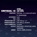 Sementes de Cannabis Automáticas Critical +2 XXL Auto | BSF Seeds Brasil | Compre Agora