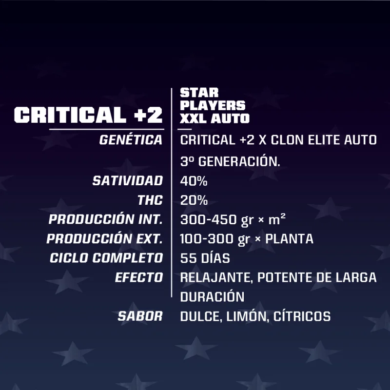 Sementes de Cannabis Automáticas Critical +2 XXL Auto | BSF Seeds Brasil | Compre Agora