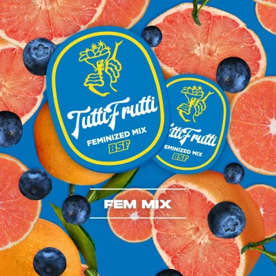 Sementes de Cannabis Mixes Tutti Frutti Feminized Mix | BSF Seeds Brasil | Compre Agora