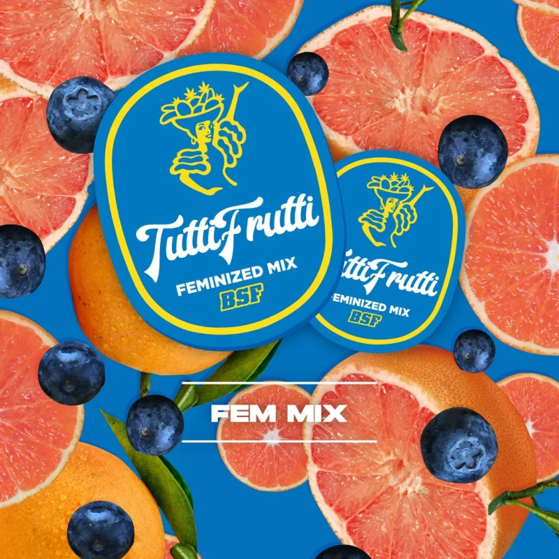 Sementes de Cannabis Mixes Tutti Frutti Feminized Mix | BSF Seeds Brasil | Compre Agora