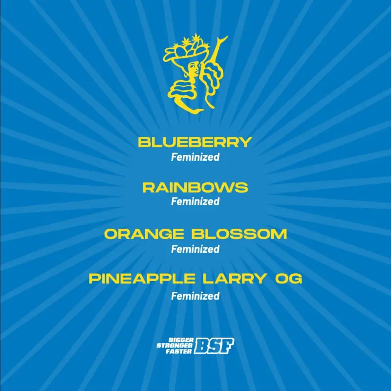 Tutti Frutti Feminized Mix|BSF Seeds Brasil