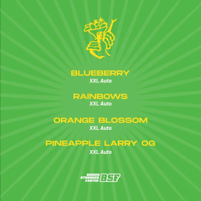 Tutti Frutti XXL Auto Mix|BSF Seeds Brasil