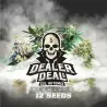 Dealer Deal XXL Automix: 12 semillas BSF Seeds|BSF Seeds Brasil
