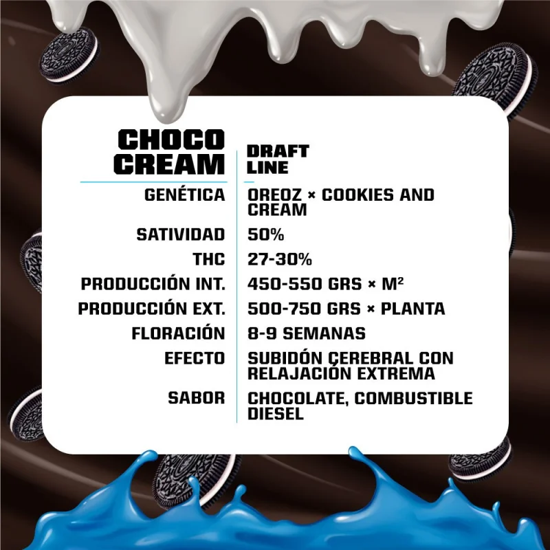 Sementes de Maconha Feminizadas Choco Cream Feminized | BSF Seeds Brasil