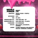 Sementes de Maconha Feminizadas Nicole Punch Feminized | BSF Seeds Brasil