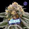 Nerdz Feminized|BSF Seeds Brasil