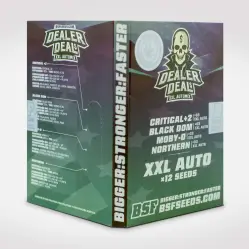 Dealer Deal XXL Automix: 12 semillas BSF Seeds|BSF Seeds Brasil