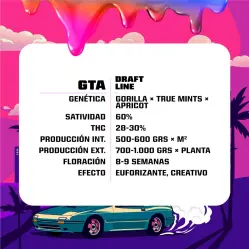 GTA Feminized|BSF Seeds Brasil