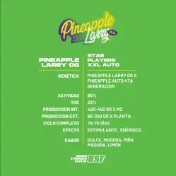 Pineapple Larry OG XXL Auto|BSF Seeds Brasil