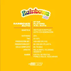 Rainbows XXL Auto|BSF Seeds Brasil