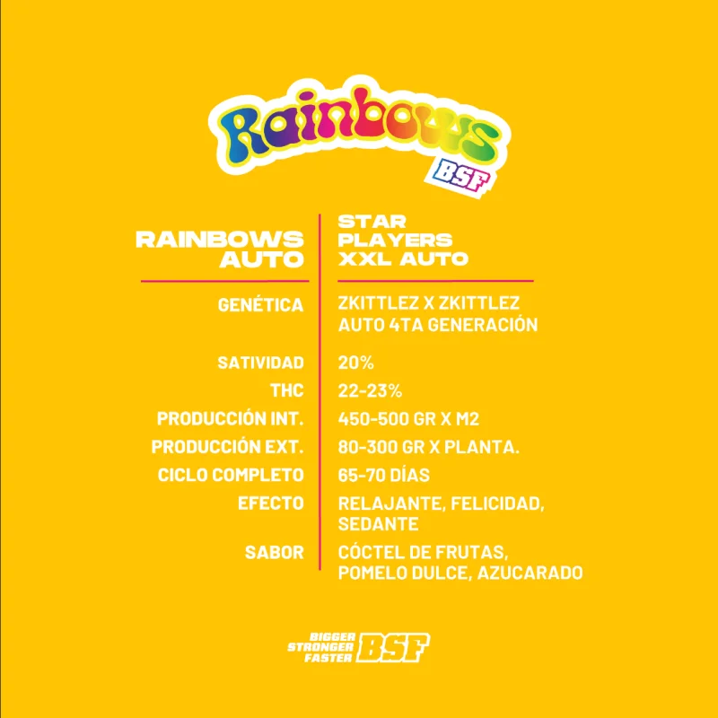 Sementes de Cannabis Automáticas Rainbows XXL Auto | BSF Seeds Brasil | Compre Agora