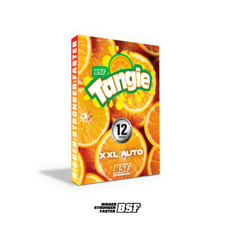 Sementes de Cannabis Automáticas Tangie XXL Auto | BSF Seeds Brasil | Compre Agora