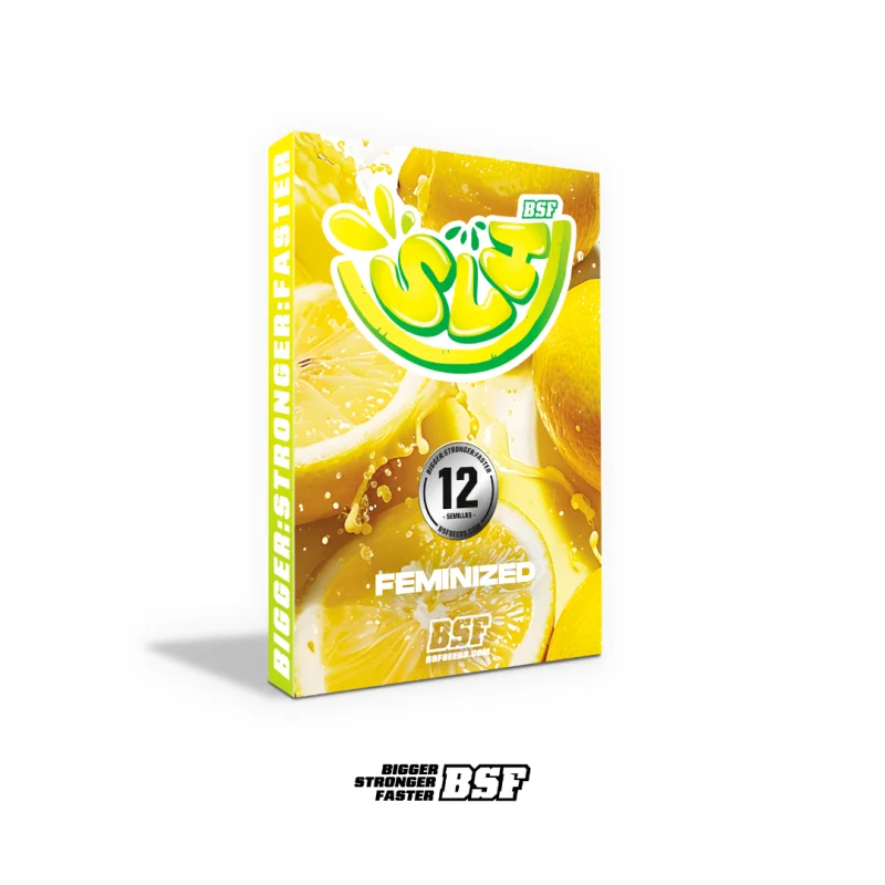 Sementes de Maconha Feminizadas Super Lemon Haze | BSF Seeds Brasil