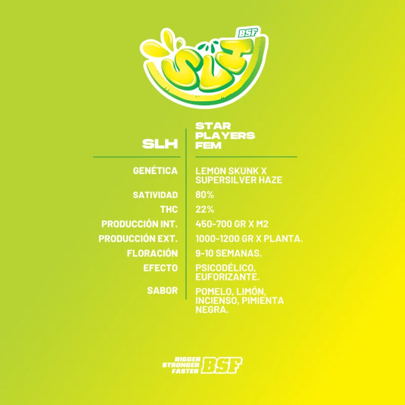 Sementes de Maconha Feminizadas Super Lemon Haze | BSF Seeds Brasil