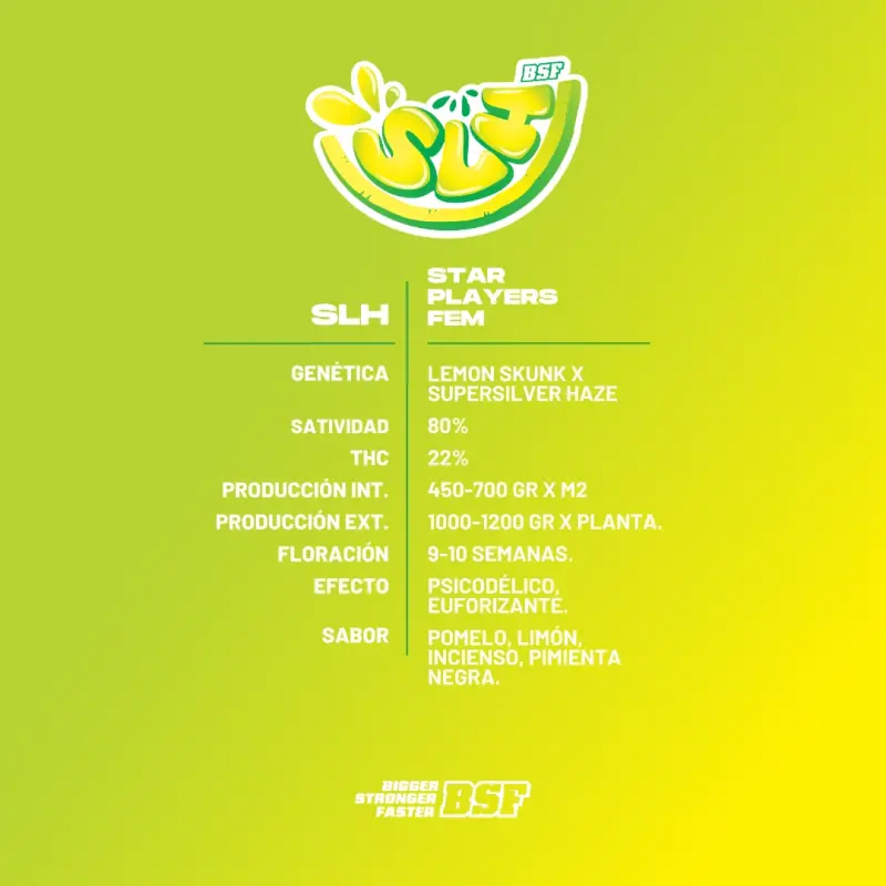 Super Lemon Haze|BSF Seeds Brasil