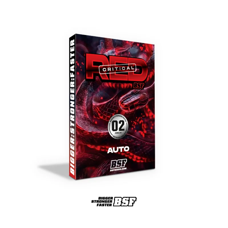 Sementes de Cannabis Automáticas Red Critical Auto | BSF Seeds Brasil | Compre Agora