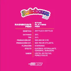 Rainbows|BSF Seeds Brasil