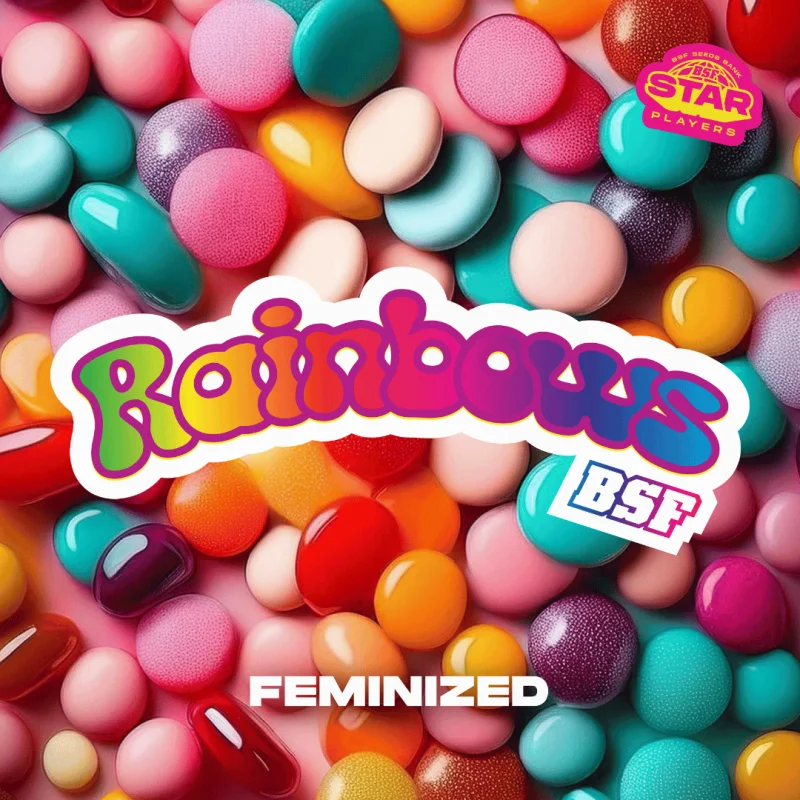 Sementes de Maconha Feminizadas Rainbows | BSF Seeds Brasil
