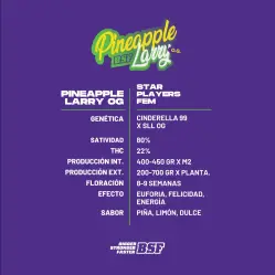 Pineapple Larry OG Fem|BSF Seeds Brasil