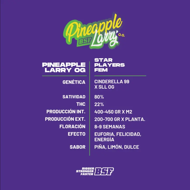 Pineapple Larry OG Fem|BSF Seeds Brasil