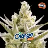 Orange Blossom XXL Auto|BSF Seeds Brasil