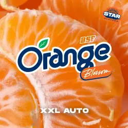 Orange Blossom XXL Auto|BSF Seeds Brasil