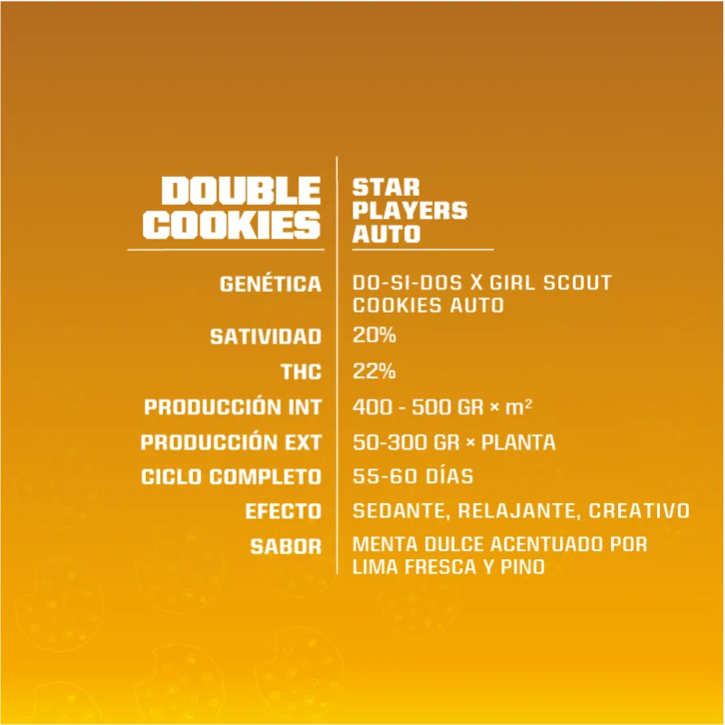 Sementes de Cannabis Automáticas Double Cookies Auto | BSF Seeds Brasil | Compre Agora
