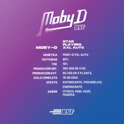Moby D XXL Auto|BSF Seeds Brasil