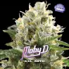 Moby D XXL Auto|BSF Seeds Brasil