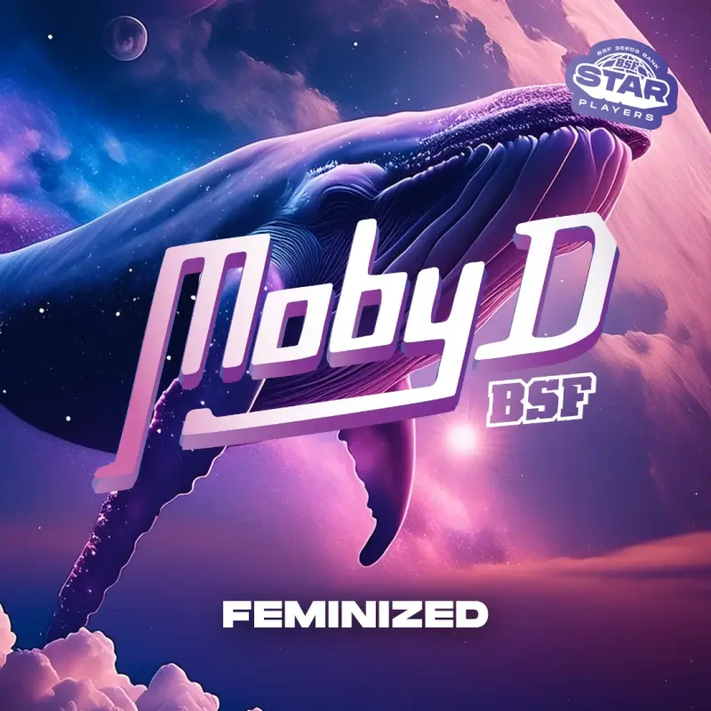 Moby D|BSF Seeds Brasil