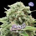 Moby D|BSF Seeds Brasil