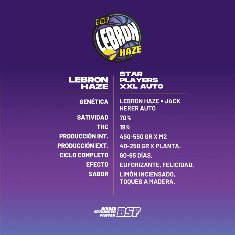 Sementes de Cannabis Automáticas Lebron Haze XXL Auto | BSF Seeds Brasil | Compre Agora