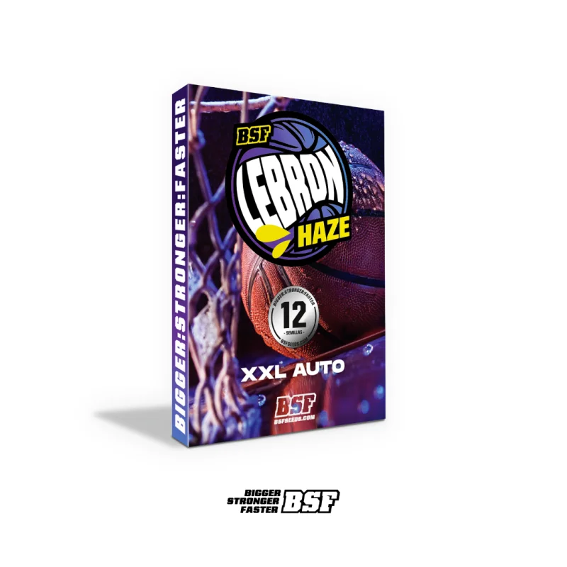 Sementes de Cannabis Automáticas Lebron Haze XXL Auto | BSF Seeds Brasil | Compre Agora